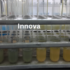 Colour Reducing Agents 